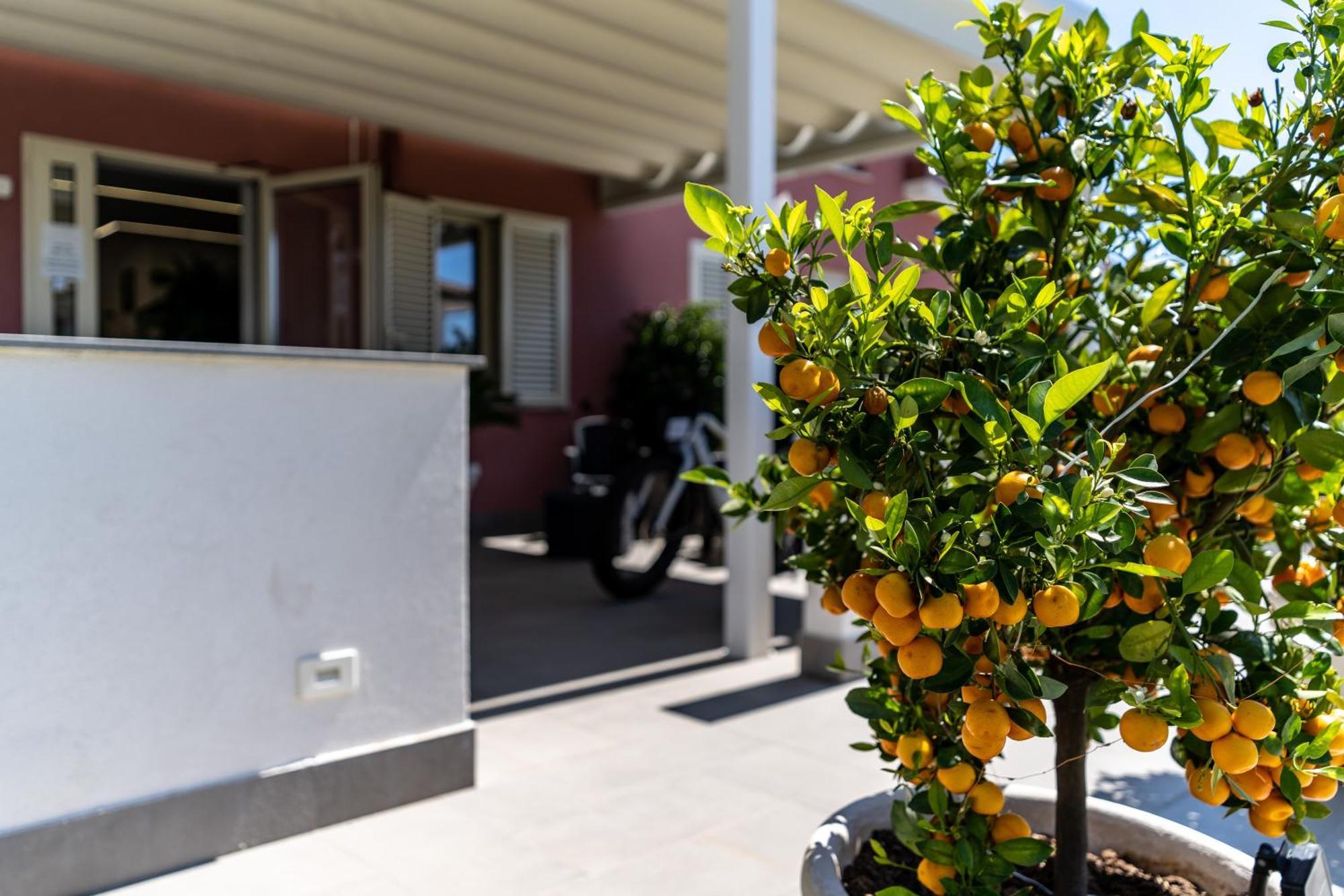 Dipladenia Garden Country Resort Mascali Ngoại thất bức ảnh